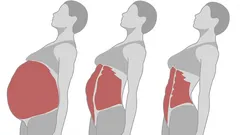 Een strakke buik en een slanke taille: 4 oefeningen die het proberen waard zijn